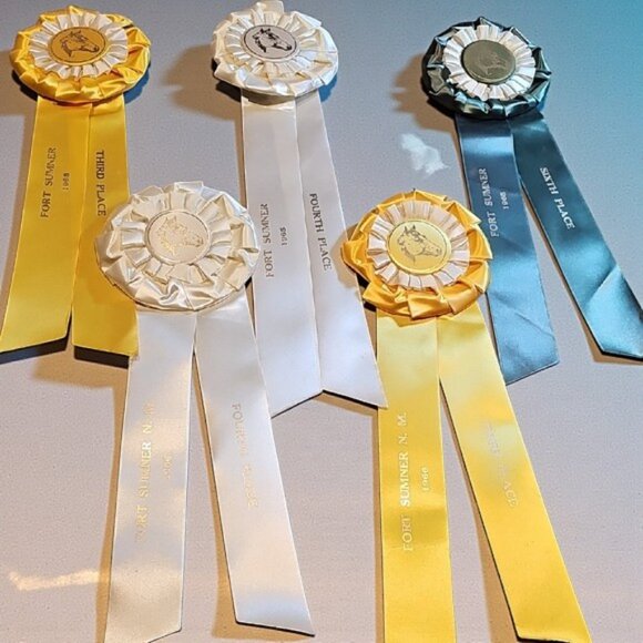 5 Vintage original 1965 1966 Horse Show Rosettes Fort Sumner NM ribbons winners - Picture 1 of 16